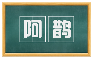 阿鹊