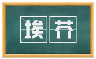 埃芥