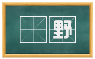 闇野