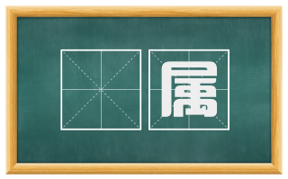 蛃属