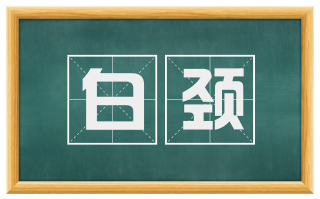 白颈