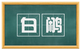 白鹇
