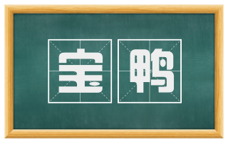 宝鸭