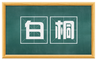 白桐