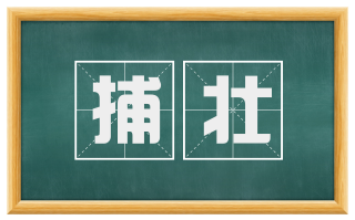 捕壮