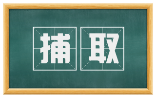 捕取