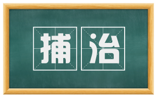 捕治