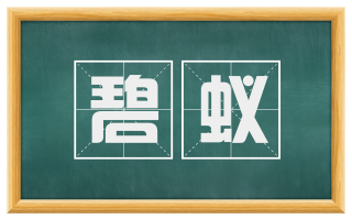 碧蚁