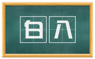 白八