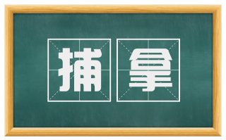 捕拿