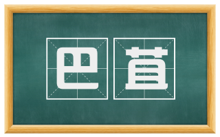 巴苴