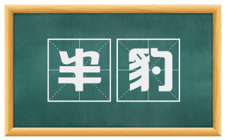 半豹