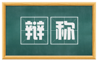 辩称