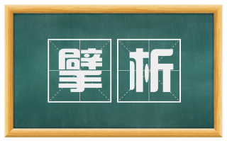擘析