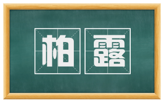 柏露