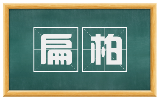 扁柏