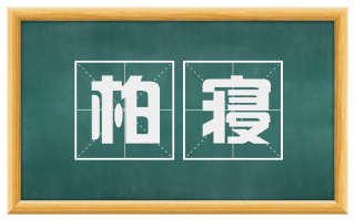 柏寝
