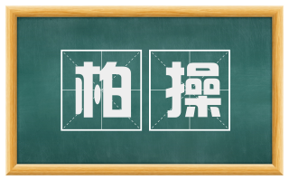 柏操