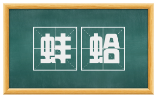 蚌蛤