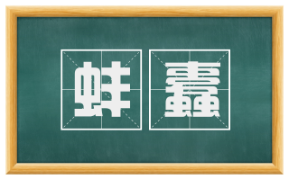 蚌蠹