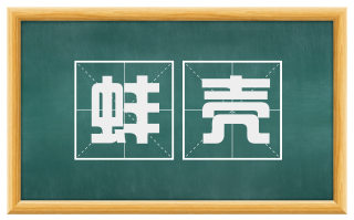 蚌壳