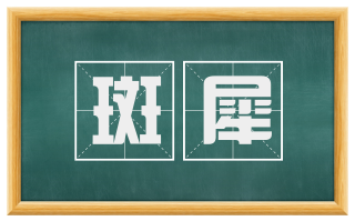 斑犀