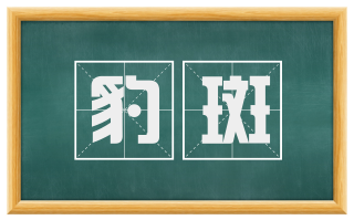 豹斑