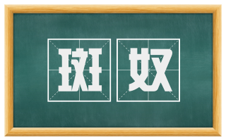 斑奴
