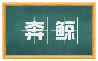 奔鲸