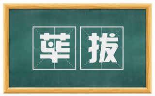 荜拔