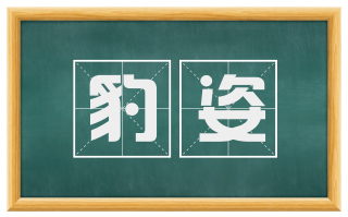 豹姿