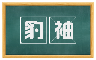 豹袖