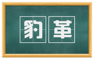 豹革