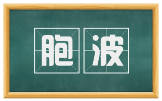 胞波