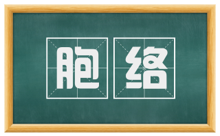 胞络