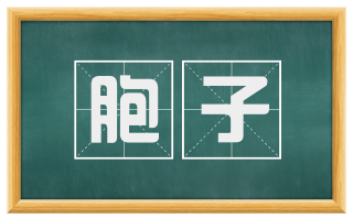胞子