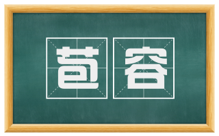 苞容