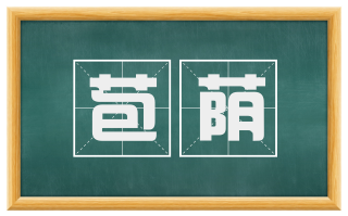 苞荫