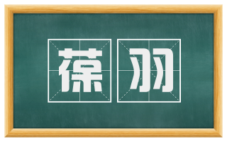 葆羽