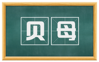 贝母