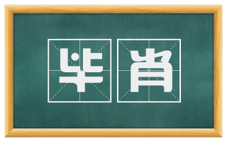 毕肖