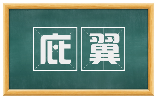 庇翼
