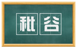 秕谷