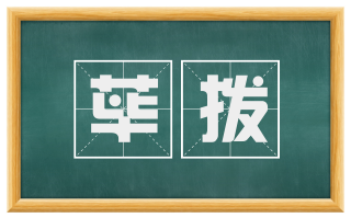 荜拨