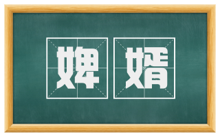 婢婿