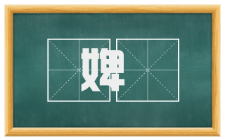 婢壻