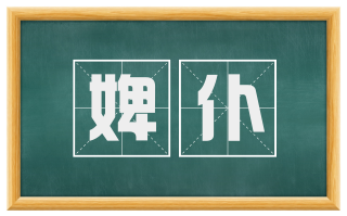 婢仆