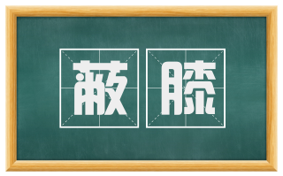 蔽膝