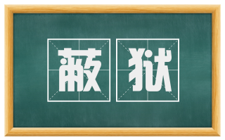 蔽狱