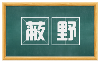 蔽野